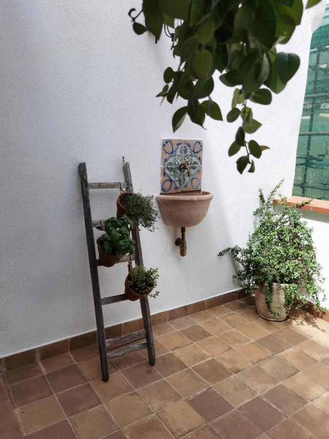 Il Terrazzino Sul Kemonia Lejlighed Palermo Eksteriør billede