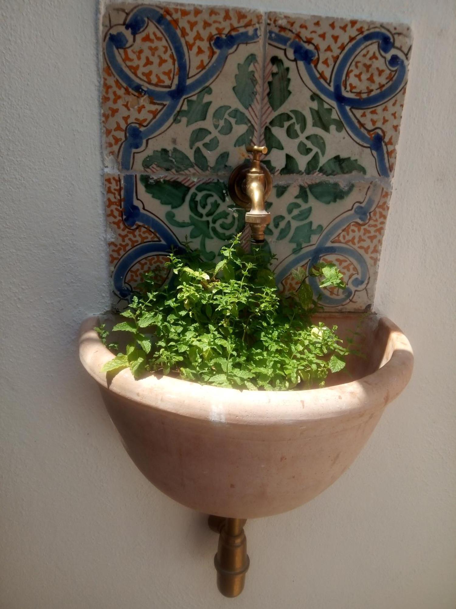 Il Terrazzino Sul Kemonia Lejlighed Palermo Eksteriør billede