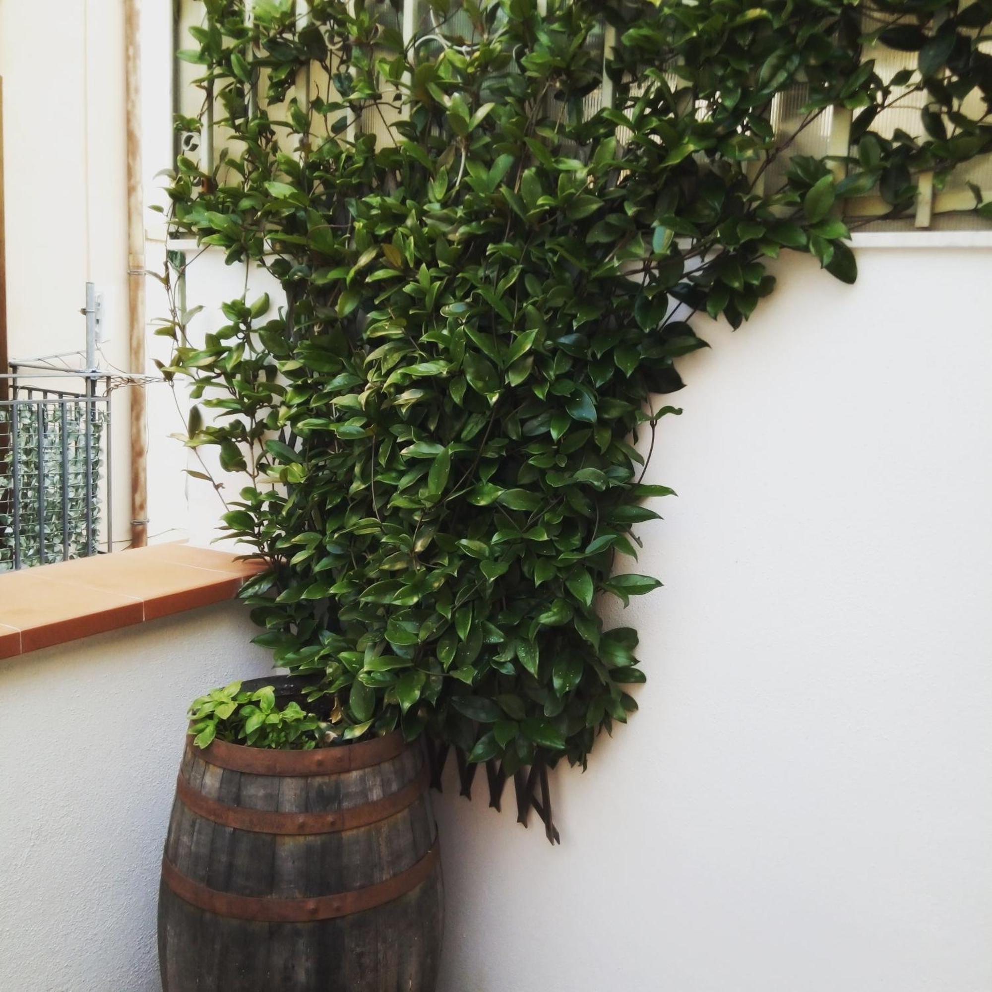 Il Terrazzino Sul Kemonia Lejlighed Palermo Eksteriør billede